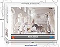 פאזל World Animal